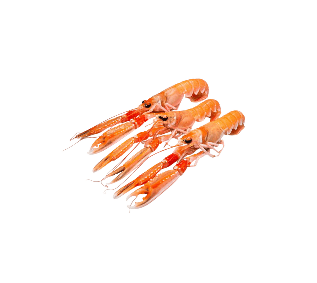 2kg | Mammafiore